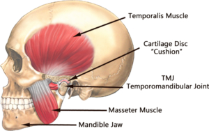 TMJ jaw physiotherapy